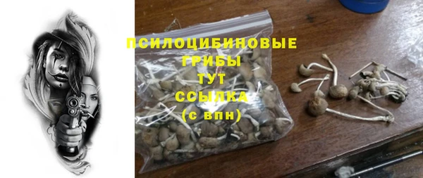 спайс Богородск