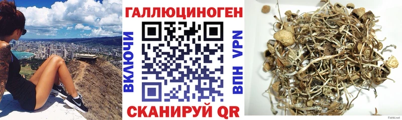 Галлюциногенные грибы мицелий  Инсар 